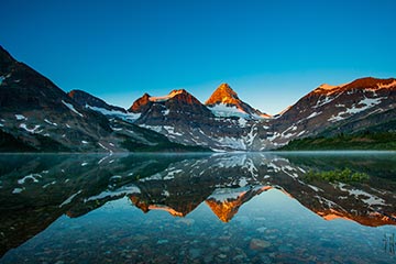 VIP免费特权的云呼网页版